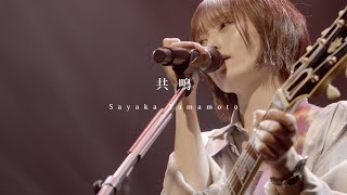 山本彩 | ライブ・セットリスト情報サービス【LiveFans(ライブファンズ)】