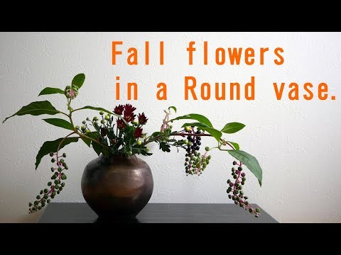 生け花】備前焼の丸い壺【ikebana】2色の小菊を生ける - YouTube