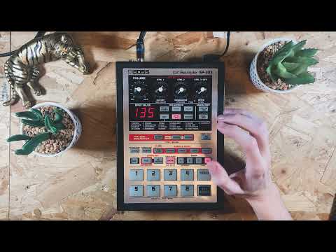 Why spvidz loves his SP-303 | Sampleface