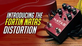 NATAS PEDAL | FORTIN AMPLIFICATION
