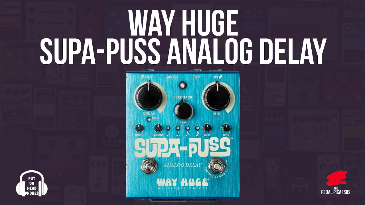 Way Huge SUPA-PUSS The BEST analog delay on the market! - YouTube