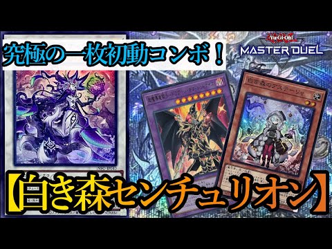 遊戯王マスターデュエル】新規カテゴリ《白き森》を組み込んだ【白き森
