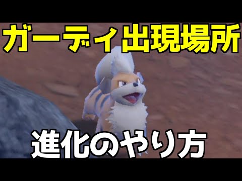 ポケモンSV】ガーディ ウインディ 出現場所 入手方法 進化方法 攻略