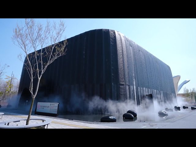 いのちの未来／Future of Life - YouTube