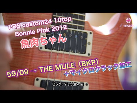 PRS custom24 10Top【魚肉ちゃん】のピックアップ交換【THE MULE】と