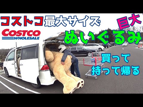 コストコ超巨大ぬいぐるみ（クマ）買って帰ろうと思ったが・・・236