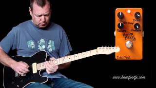 Bearfoot FX: Honey Beest OD - YouTube