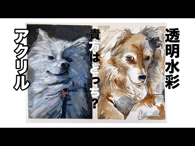 338【初心者必見！】犬を描く！アクリルと透明水彩で描く - YouTube