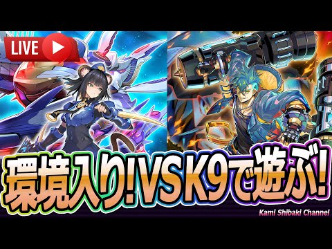 ガチ対戦】洒落にならん強さだったVSK9使ってガチ現代遊戯王