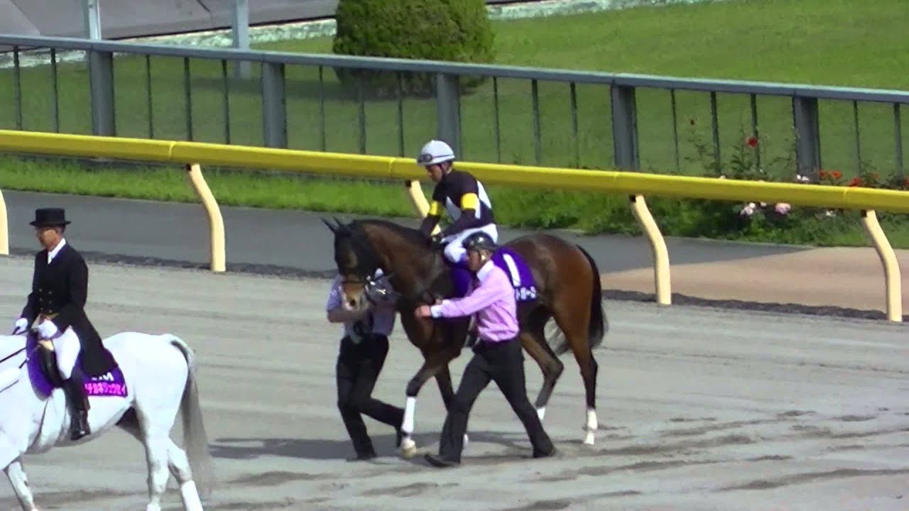 2014 5/18 第9回 ヴィクトリアマイル(GI) 本馬場 現地映像