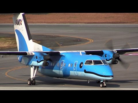 青イルカ!!! 天草エアライン みぞか号 Amakusa Airlines Bombardier