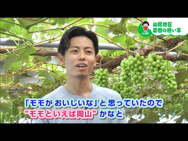 ブドウとモモの二刀流で産地を盛り上げる若手農家｜【笑味ちゃん天気