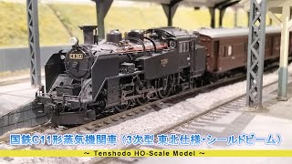 HO(16番)ゲージ鉄道模型】国鉄 C11形 蒸気機関車 （3次型 東北仕様