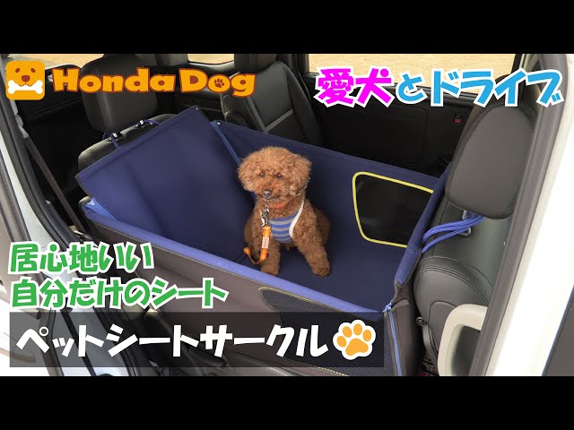 Honda純正】Honda Dog ペットシートサークル【愛犬とドライブ】 - YouTube