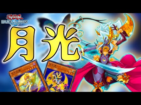 基本展開もあるよ】もう融合だけじゃ終わらない！出張セットでも