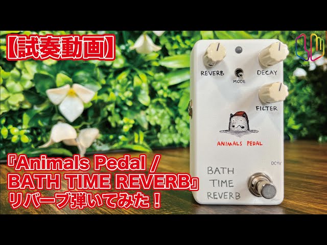 試奏動画】『Animals Pedal / BATH TIME REVERB』リバーブ弾いてみた