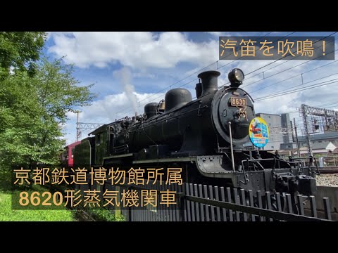 汽笛を吹鳴！】8620形8630号機が牽引するSLスチーム号 - YouTube