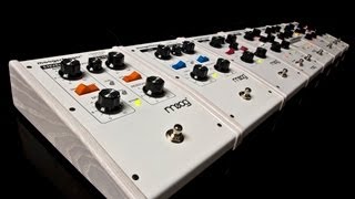 MF-107 FreqBox – moog