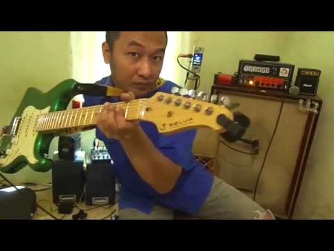 Selva Stratocaster Guitars / SELVA SST-201 OTM/M - YouTube