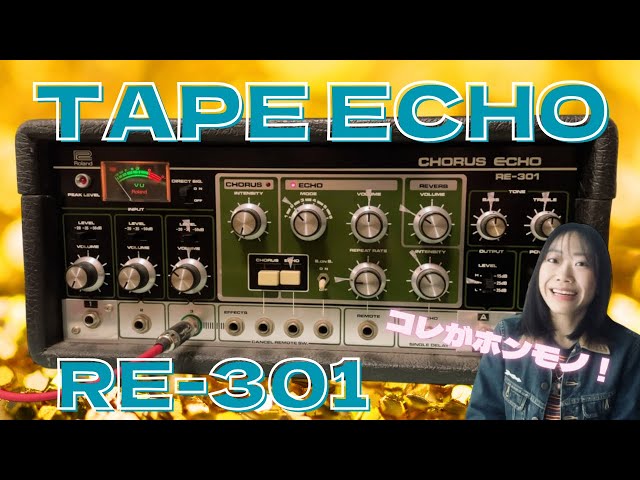テープエコー】デッカくて愛らしい。ローランドRE-301を紹介！ - YouTube