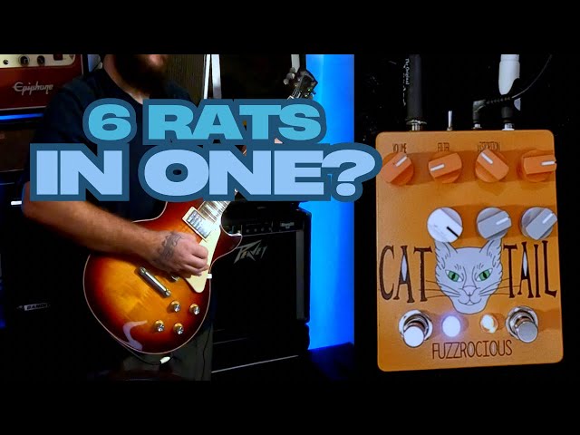 Fuzzrocious Cat Tail: 6 Rats In One Pedal - YouTube