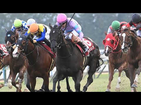 NAMURA CLAIR wins the G2 The Hanshin Cup - YouTube