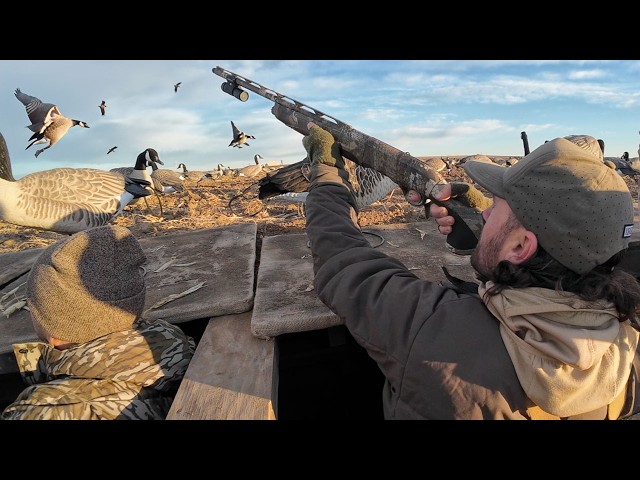Hunting Out Of Colorados BIGGEST DUCK BLIND - YouTube