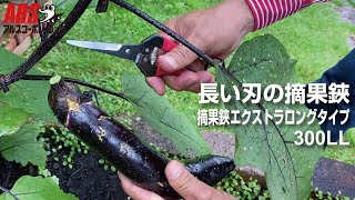 アルス ARS 300LL-DX-BP 摘果鋏エクストラロングタイプ ステンレス