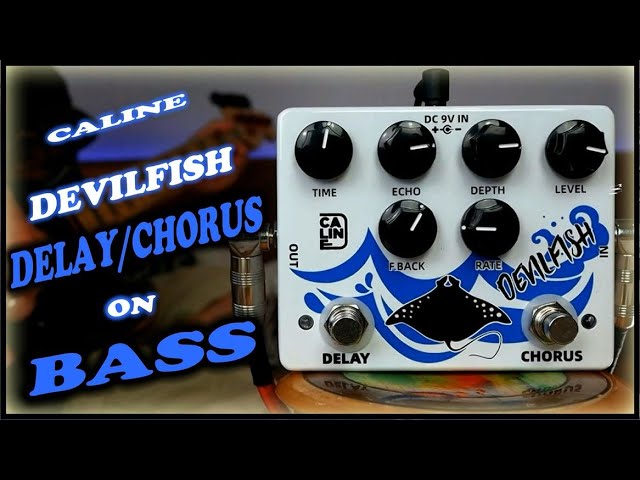 Caline DCP-03 Devilfish Chorus + Delay Pedal (Bass Demo) - YouTube