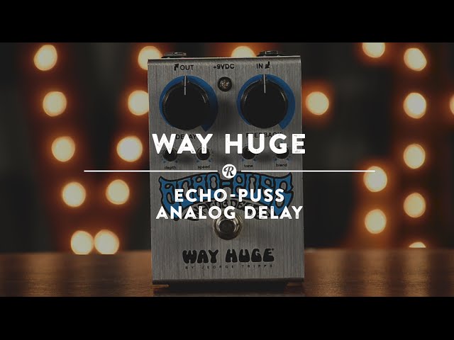 Way Huge Echo-Puss Analog Delay | Reverb Demo Video - YouTube