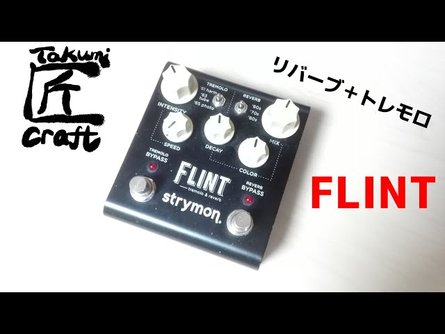 Strymon FLINT Review Reverb Tremolo - YouTube