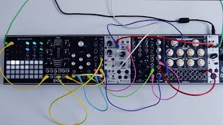 Shakmat White Gallop - Eurorack Module on ModularGrid