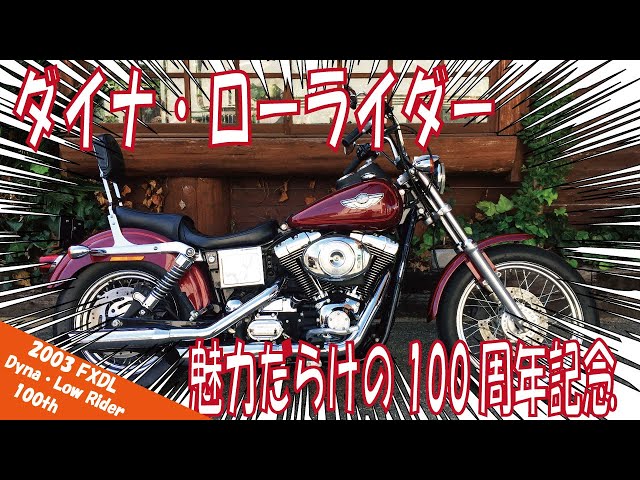 Used Vehicle Introduction: 2003 Harley-Davidson FXDL Dyna Lowrider