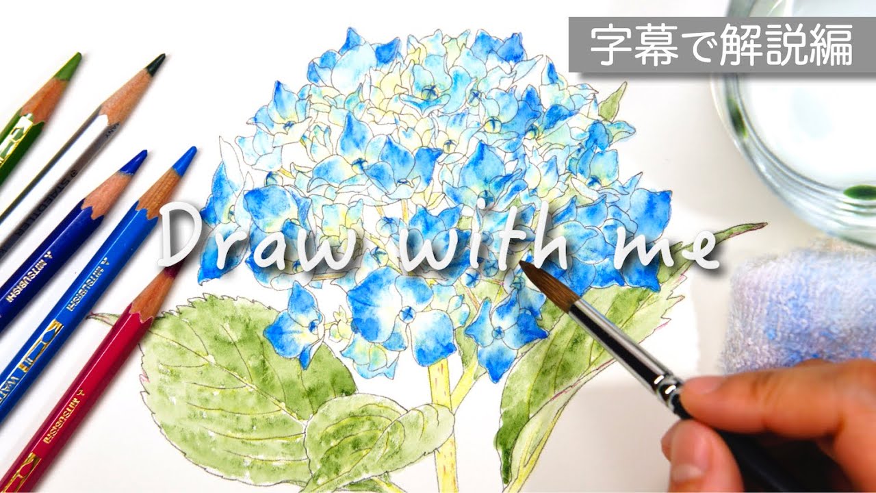 紫陽花の描き方【字幕で解説編】水彩色鉛筆 | Hydrangea Drawing in