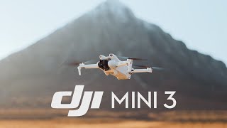 DJIの人気ドローン＆スタビライザー 7機種が最大23％OFFの価格改定を4