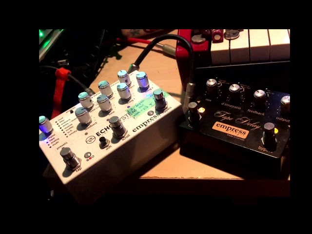 配信】Empressのディレイを掘り下げてみる【 EchoSystem / TapeDelay