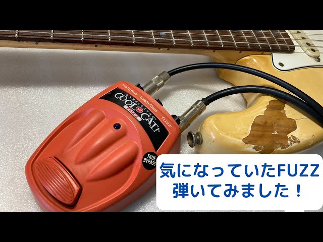 DANELECTOR COOLCAT FUZZ V2/エフェクター - YouTube