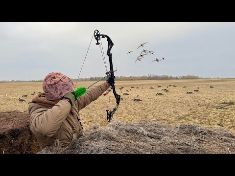 Hay Bale Blind Duck Hunting with a Bow and Arrow! - YouTube