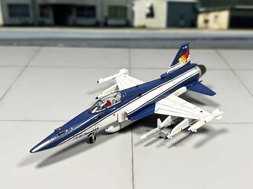 LS F-20 エリア88 風間機（後期ver） 完成写真 | 村長☆奮闘すれど