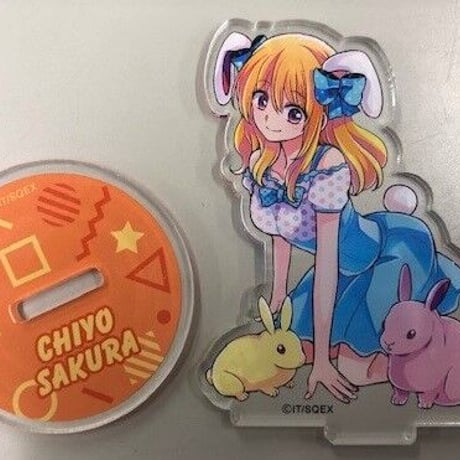 佐倉千代 | STORES