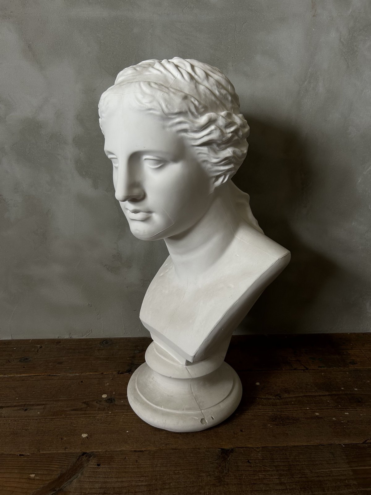 石膏像B/女性/美術/オブジェ/インテリア | 骨董・アンティークの