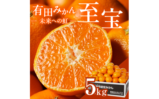 有田市認定みかん「未来への虹」至宝(5kg)【日本初自治体認定フルーツ