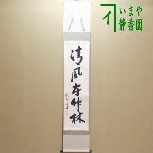 茶道具 掛軸 掛け軸 一行 清流無間断又は瀧直下三千丈 法谷文雅筆 茶道