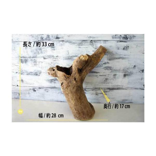 流木 インテリア 家具 雑貨 おしゃれ 室内装飾 リビング ベランダ