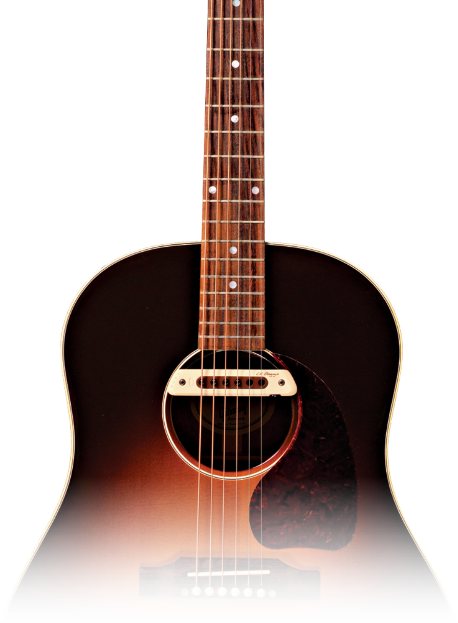 お値引き/シーガルArtist Studio EQエレアコ、LR Baggs装備 お値引き