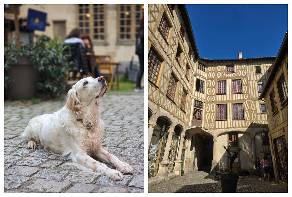 14 Things to Do in Limoges: A Hidden Gem in West-Central France