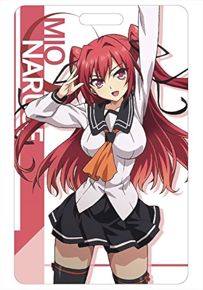 Amazon.co.jp: 新妹魔王の契約者 ICカードケース 成瀬澪 : おもちゃ