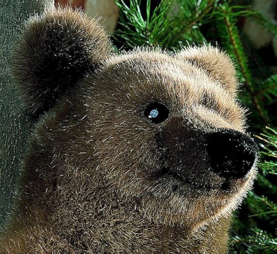 Amazon.co.jp: ソフトブラウンベア(大) KOSEN(ケーセン社) 51cm Brown