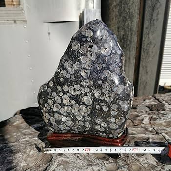 Amazon.co.jp: 東北産 梅花石 6.7キロ 鑑賞石 石 置物 オブジェ