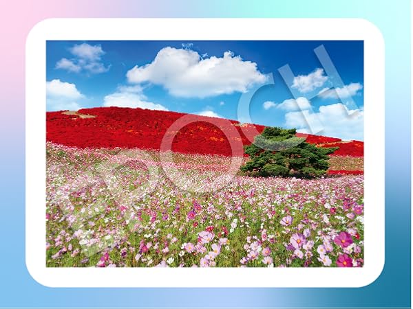 Amazon | エポック社 300ピース ジグソーパズル 日本風景 花の咲く丘